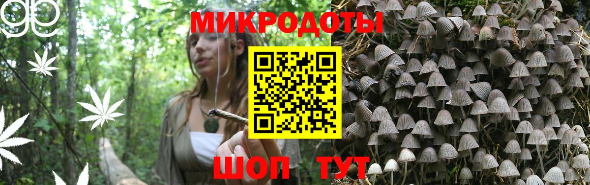 Галлюциногенные грибы Magic Shrooms Великий Устюг