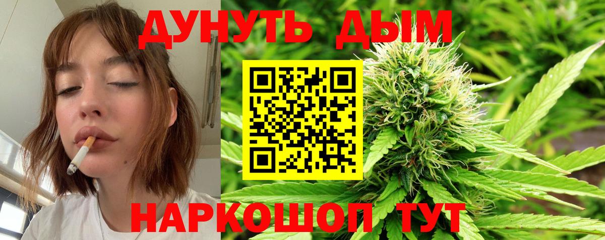 Канабис сатива  Бошки марихуана AK-47  Великий Устюг  Каннабис ГИДРОПОН  Вход с VPN 